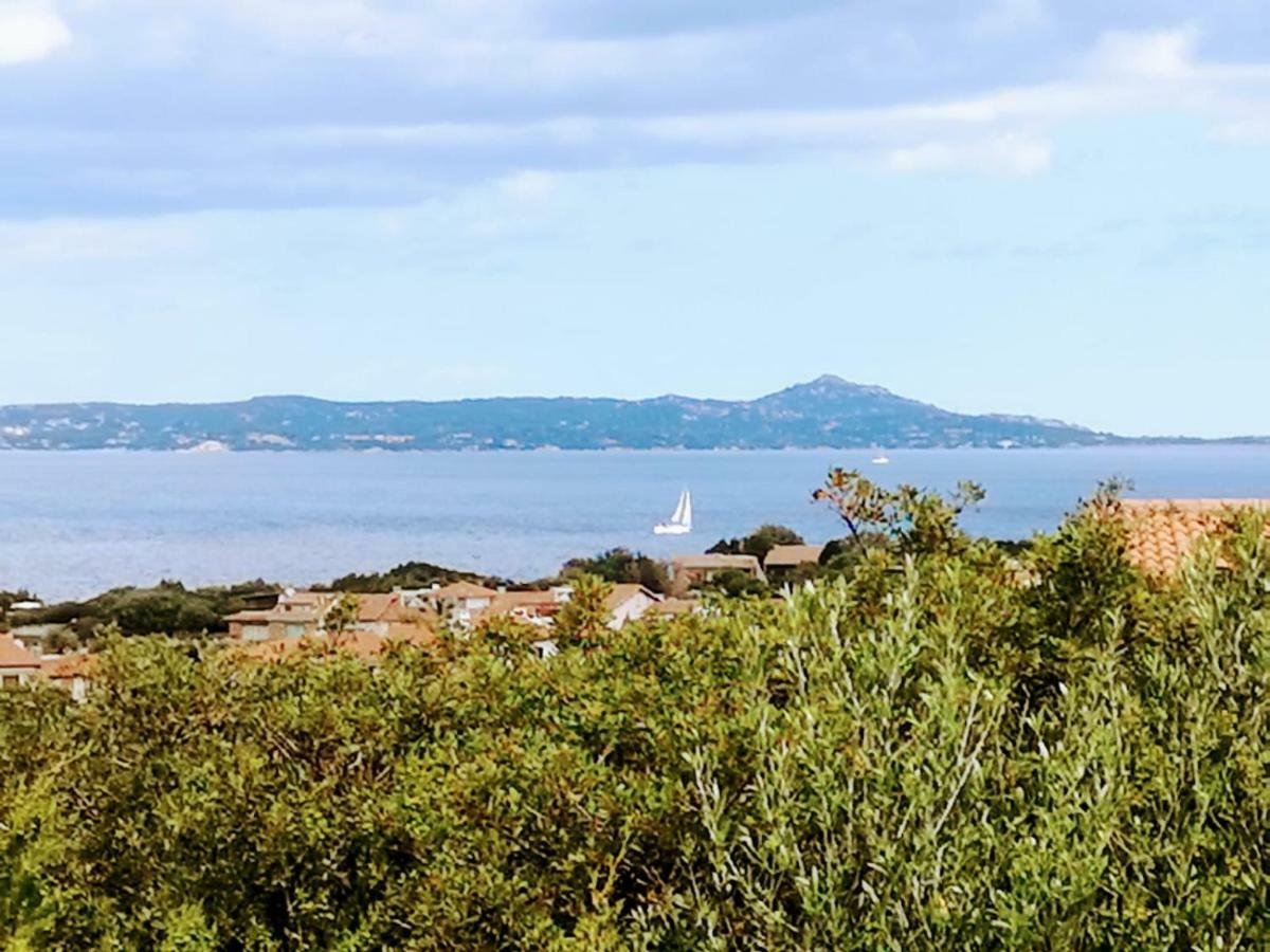Geco Di Giada Art Suites - Adult Only Porto Rotondo Dış mekan fotoğraf